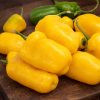 Rocoto Manzano Amarillo