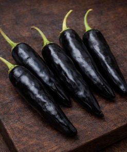 Tazmanian Black